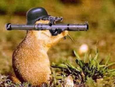 groundhog_war_2.jpg