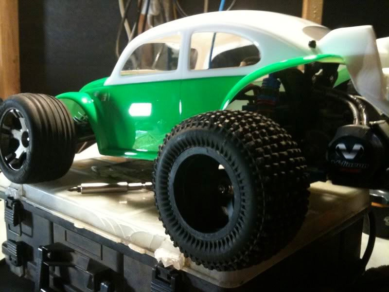 proline beetle body