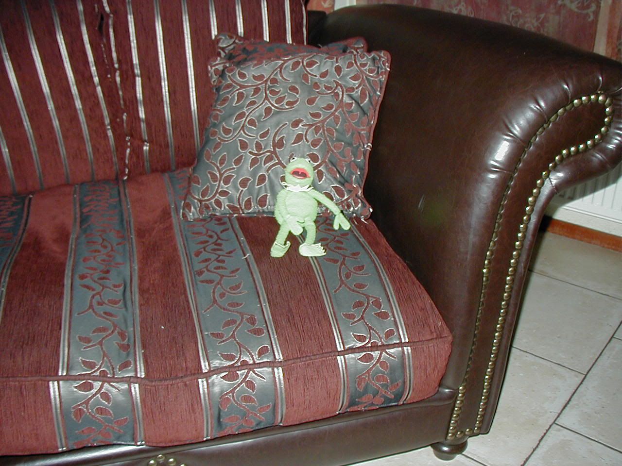 [img width=640 height=480]http://img.photobucket.com/albums/v132/Rachida/kermit6-12-2005001.jpg[/img]