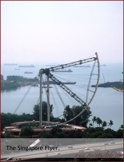 singaporeflyer.jpg