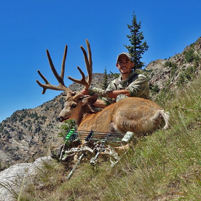 My 2014 UT Archery Mule Deer Utah Wildlife Network