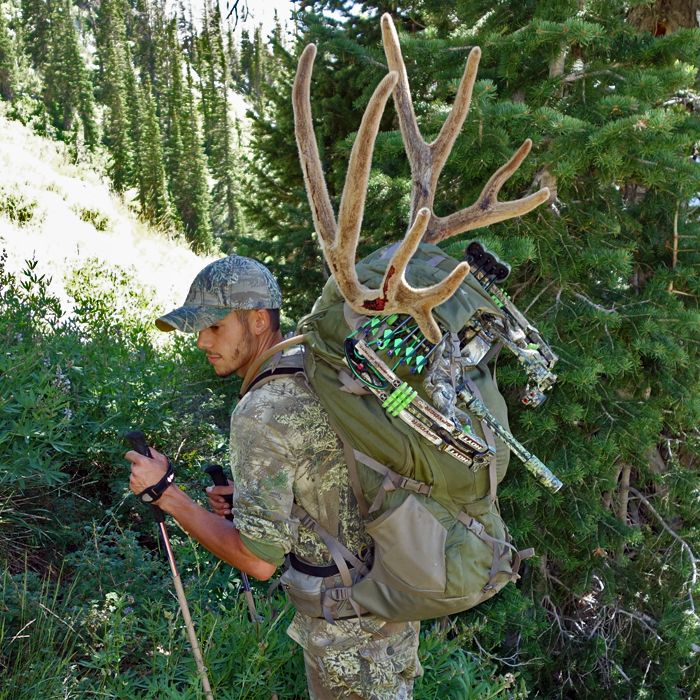 My 2014 UT Archery Mule Deer Utah Wildlife Network