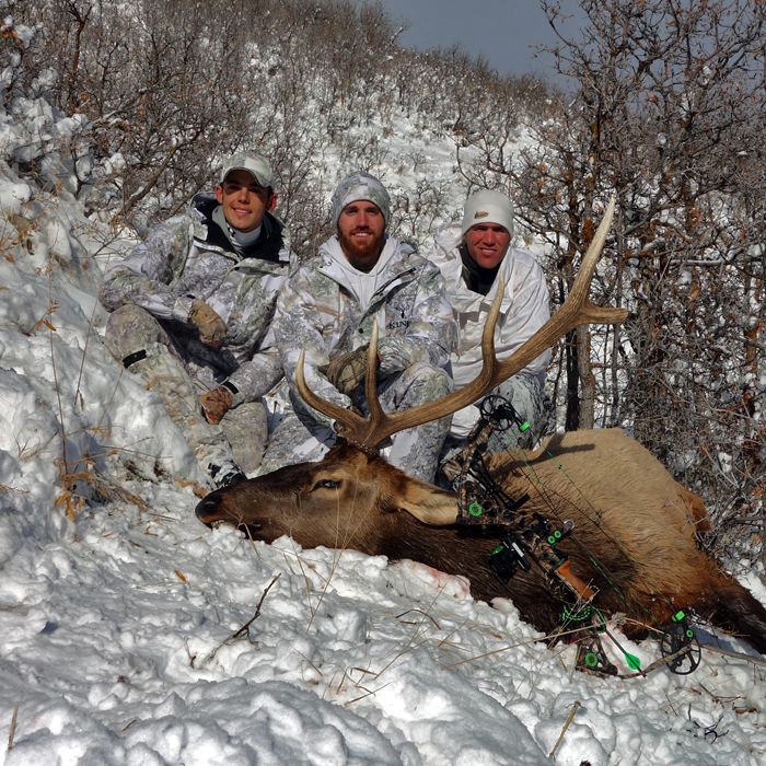 (3) Utah Extended Archery Bulls Utah Wildlife Network