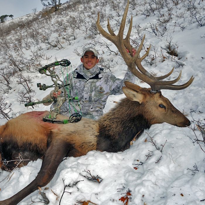 (3) Utah Extended Archery Bulls Utah Wildlife Network