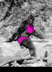 sasquatchbikini.bmp