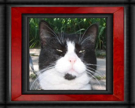sam1framed.jpg image by weechi