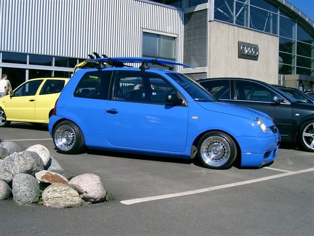VWLupo4.jpg