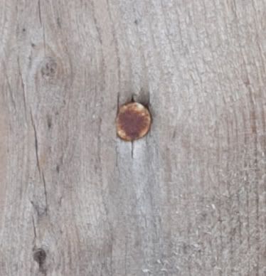 IMAGE: http://img.photobucket.com/albums/v134/Drakeskakes/IMG_8271.jpg