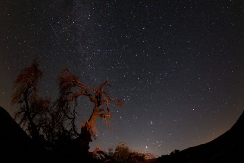 IMAGE: http://img.photobucket.com/albums/v134/Drakeskakes/Stars-037.jpg