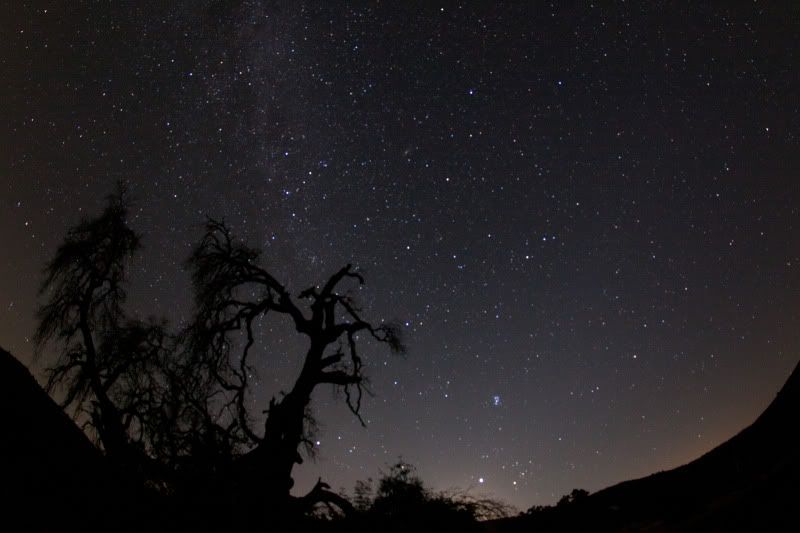 IMAGE: http://img.photobucket.com/albums/v134/Drakeskakes/Stars-038.jpg