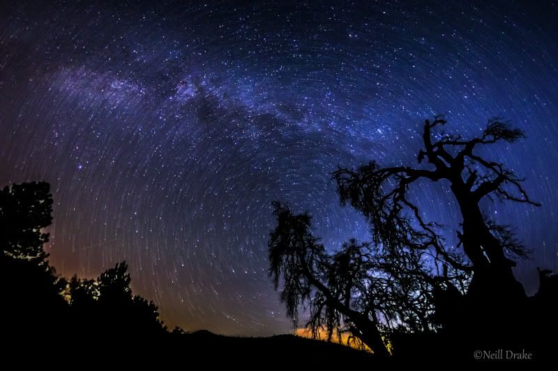 IMAGE: http://img.photobucket.com/albums/v134/Drakeskakes/Starsfinal2.jpg