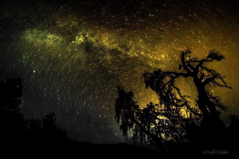 IMAGE: http://img.photobucket.com/albums/v134/Drakeskakes/Starsyellow-2.jpg