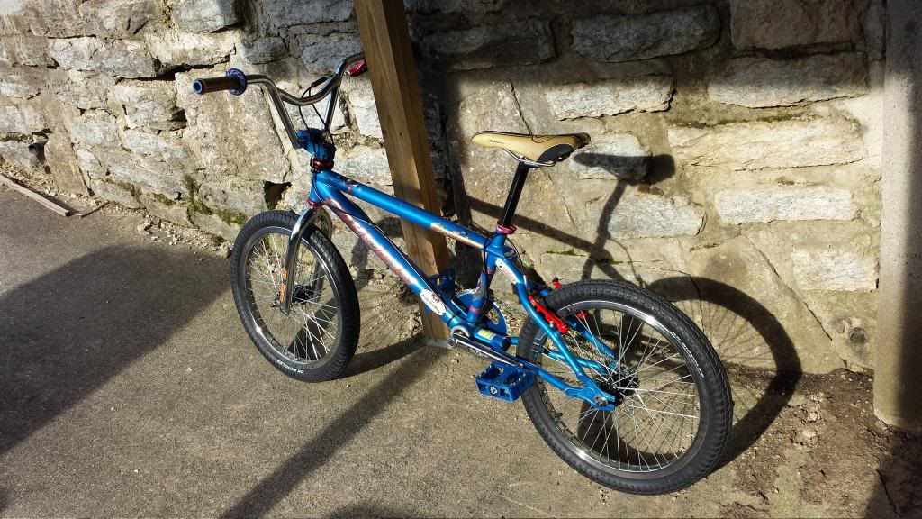 schwinn blue falcon