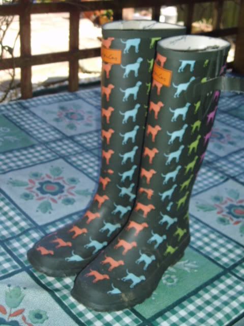 wellies.jpg