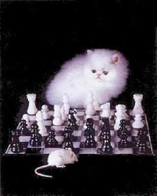 El simbolismo del ajedrez.Factor serpiente blogspot