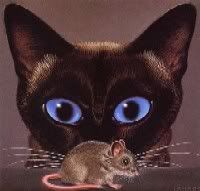 juego: cat_mouse.swf