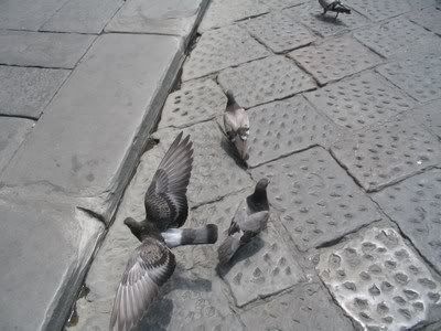 mini-IMG_3471.jpg