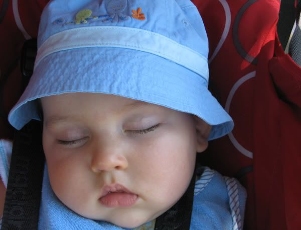 Photo Sharing and Video Hosting at Photobucket