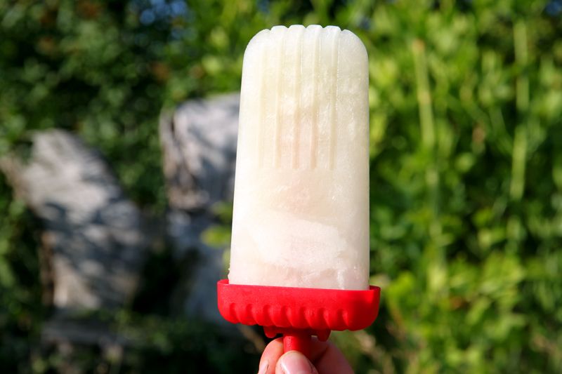 elderflowerpopsicle1.jpg