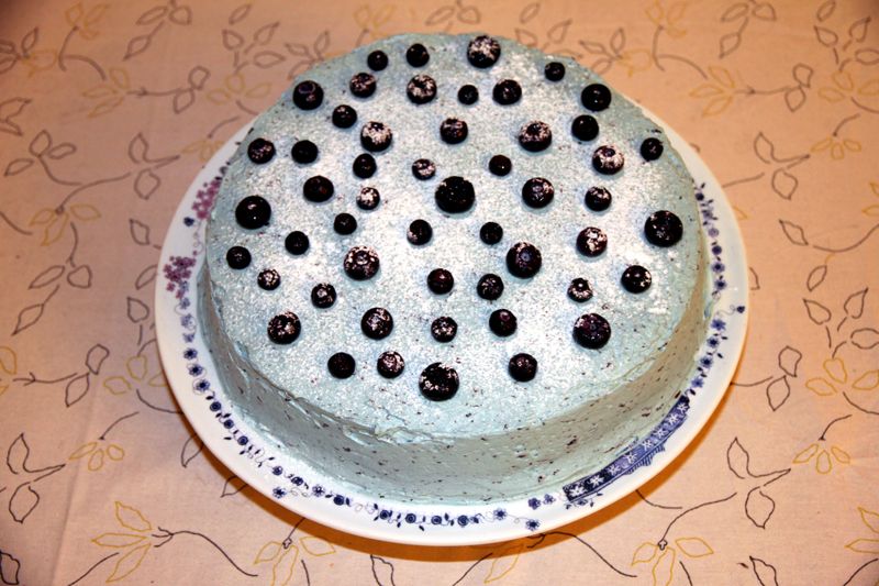 lemonblueberry2_zps58542777.jpg