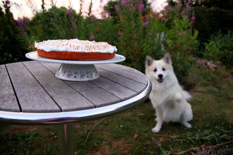 lemonmeringuecake1.jpg