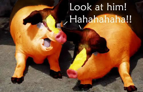 lolpigs.jpg