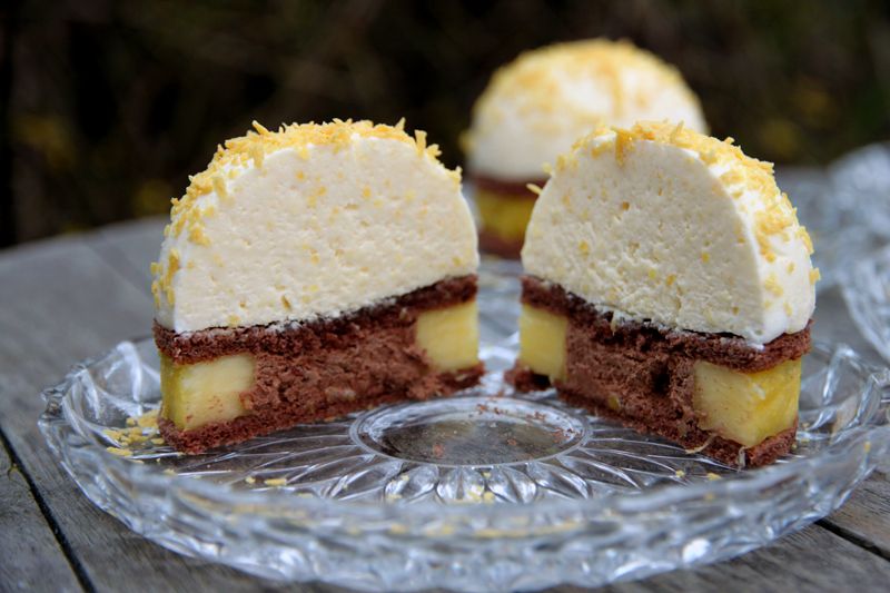 newtropicalentremet2.jpg