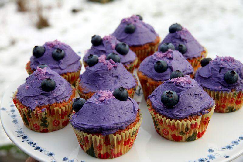 purplecupcakes1.jpg