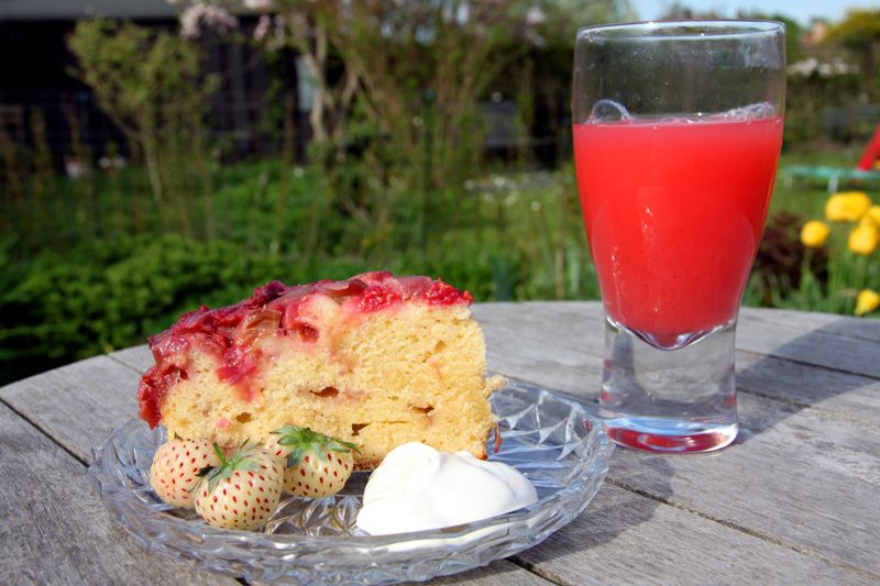 rhubarbcake4.jpg