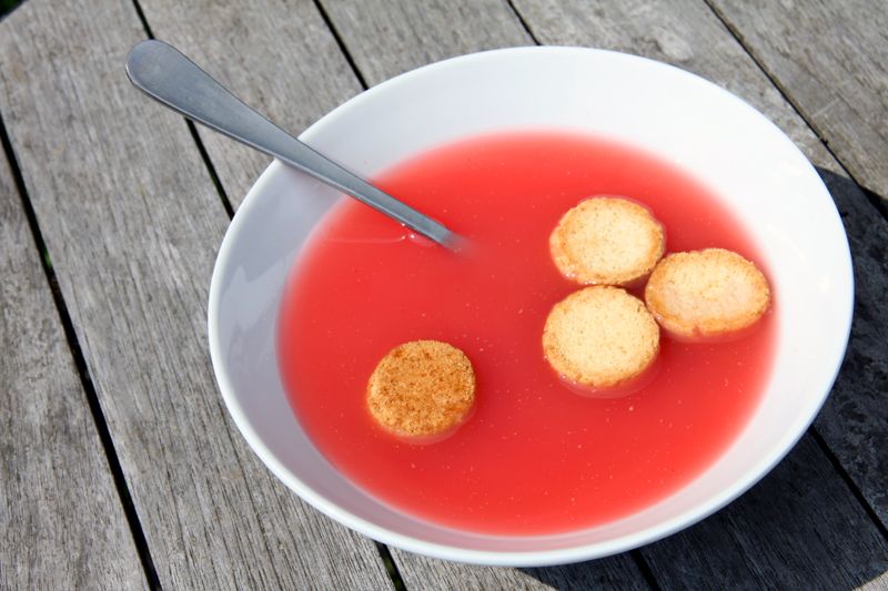 rhubarbsoup2.jpg