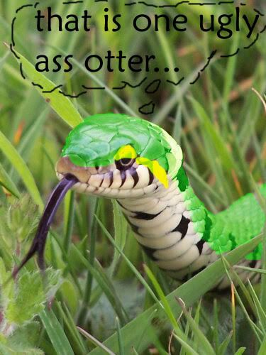 smuglizard.jpg