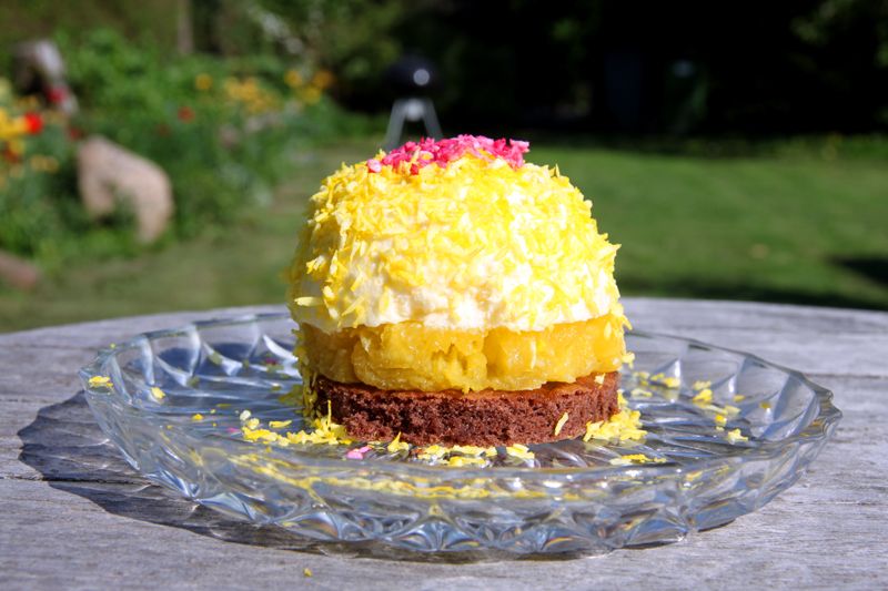 tropicalentremet1.jpg