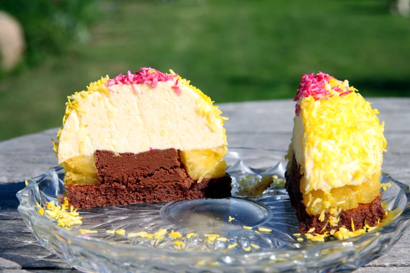 tropicalentremet3.jpg