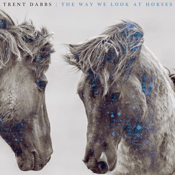 Trent Dabbs: The Way We Look At Horses. “…