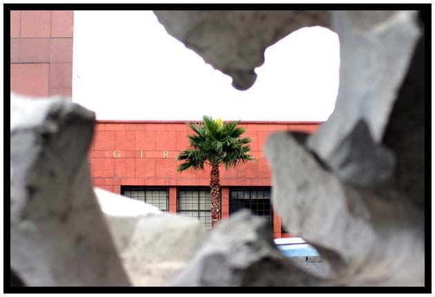 IMAGE: http://img.photobucket.com/albums/v136/skimmilk68/04012005_alonetree.jpg