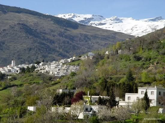 Alpujarras1.jpg