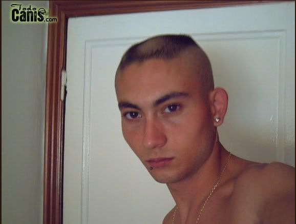 canilb7.jpg
