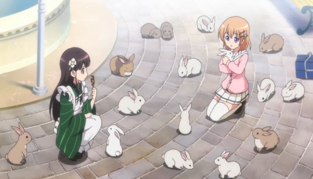 rabbits_zps7c824ffa.png