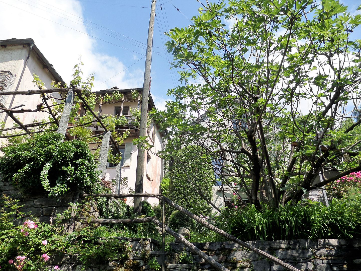 Rasa Details photo 2017_0528Tessin0026_zpspvxsutsd.jpg