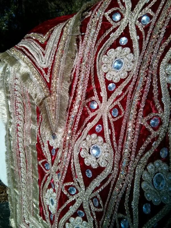 Close up of traditional Indian horse costume for Big Ben in Jacksonville, FL