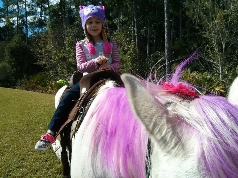 My Little Pony Sonic at a birthday party in Jacksonville, Florida