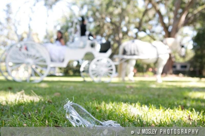 A close up of Cinderella's glass slipper with Cinderella sitting our our horse carriage at Club Continental in Orange Park, FL