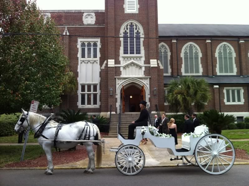 Beautiful horse carriage wedding in Riverside of Jacksonville, FL to Le Jardin on Park St