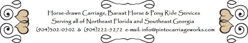 contact info for horse carriage, pony ride, Indian baraat horse service and locations serviced are northeast Florida and southeast Georgia including the Jacksonville, Lake City, Gainesville and Daytona area.