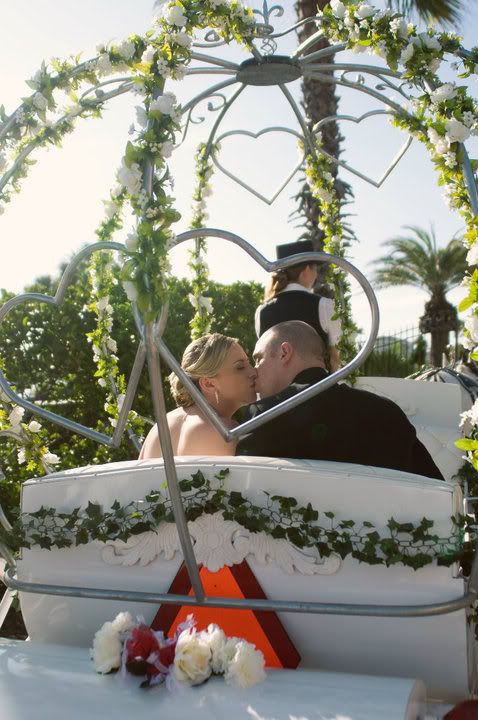 Happily ever after for Jennifer & Jesse at Jacksonville Beach, FL in our horse drawn carriage.