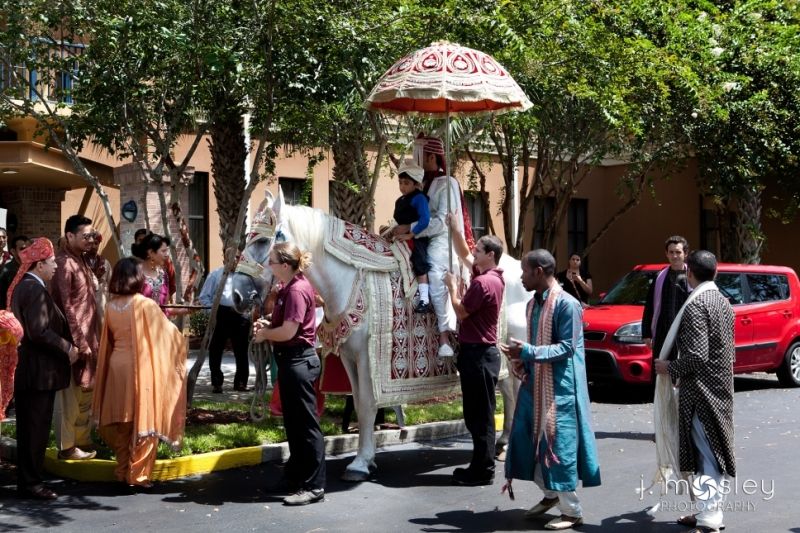 Our very first baraat riding horse wedding. It was for Ankit and was at the Embassy Suites in Jacksonville, FL.