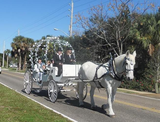 Beautiful wedding from Atlantic Beach over to the VFW. That was a fun carriage ride.