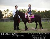 Sitting tall in the saddle. This young lady is really enjoying her pony ride and Magic is just her size in Middleburg, Florida.