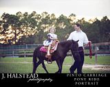 Very cute little girl is really enjoying her pony ride on our pony Magic in Middleburg, FL. Have us for your next birthday party!