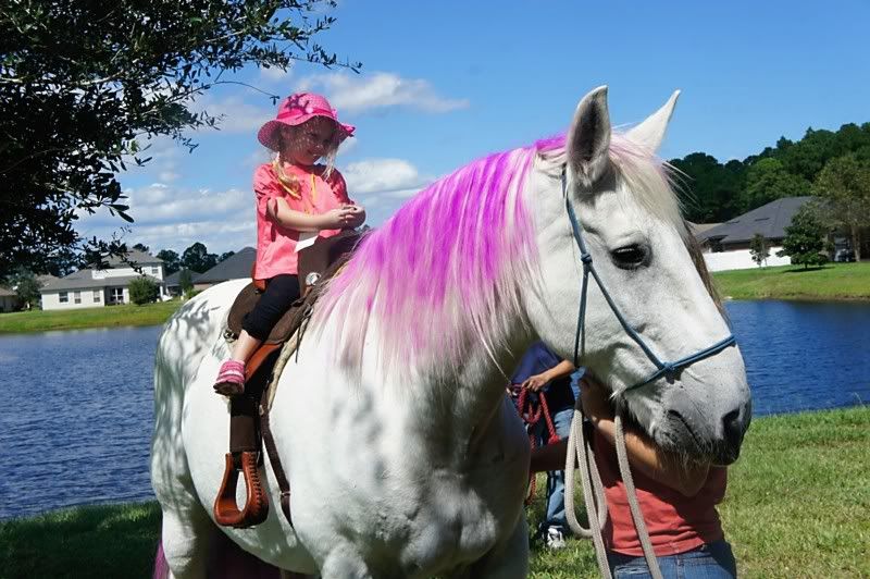 My Little Pony themed birthday party in St. Augustine, FL